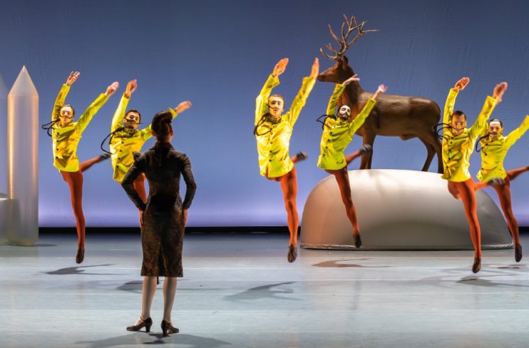 Danseres in zwanenpakje tijdens een voorstelling van Introdans' Zwanenmeer
