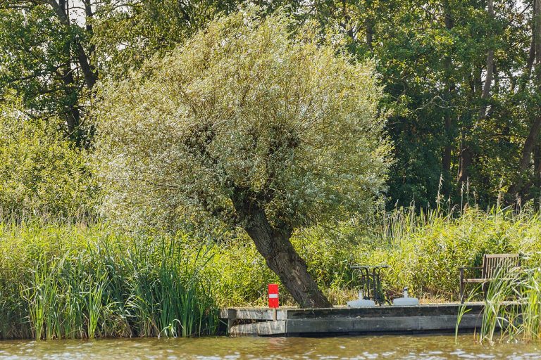Dagje Bovenwijde — Attracties in Giethoorn